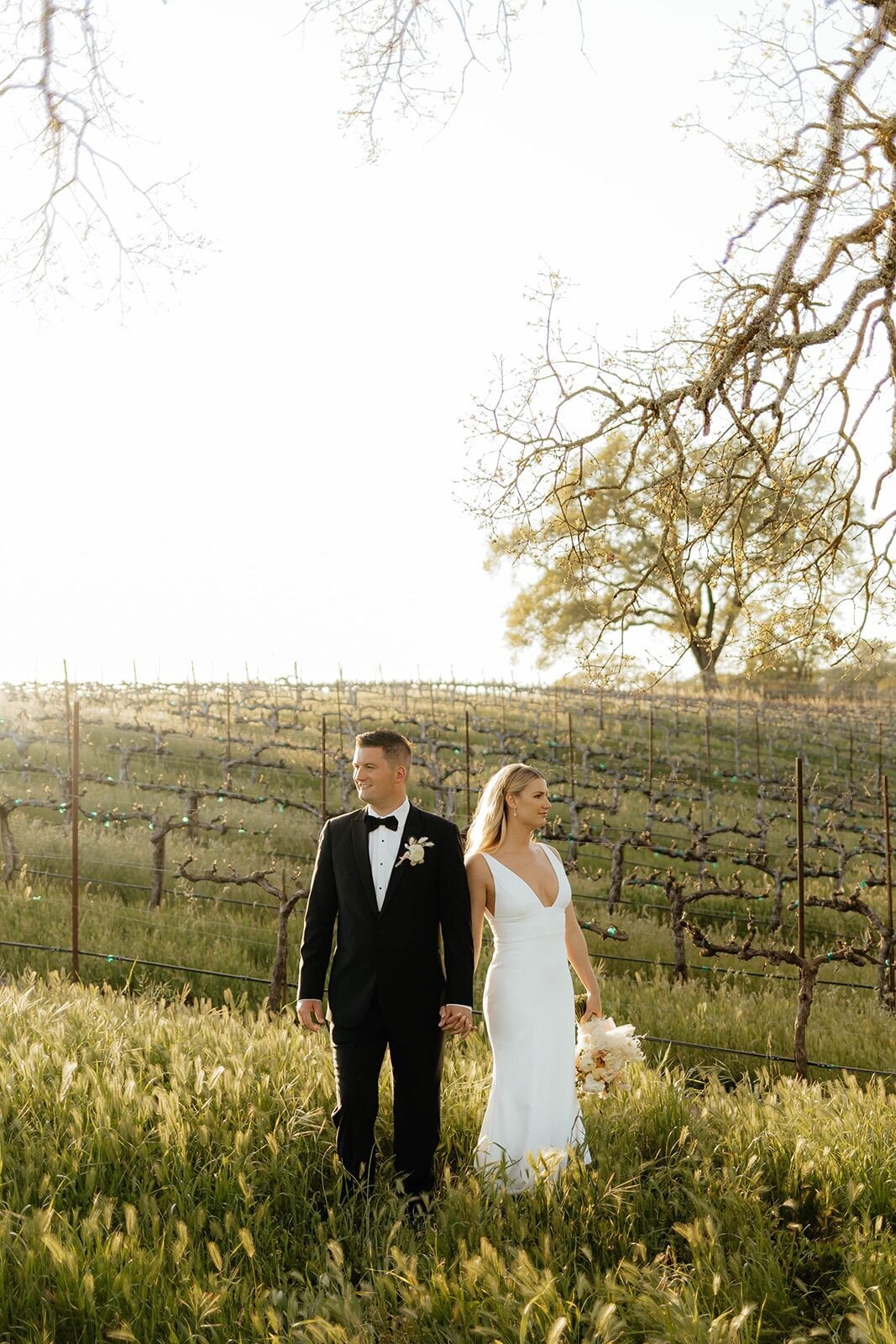 bride-and-groom-vineyard