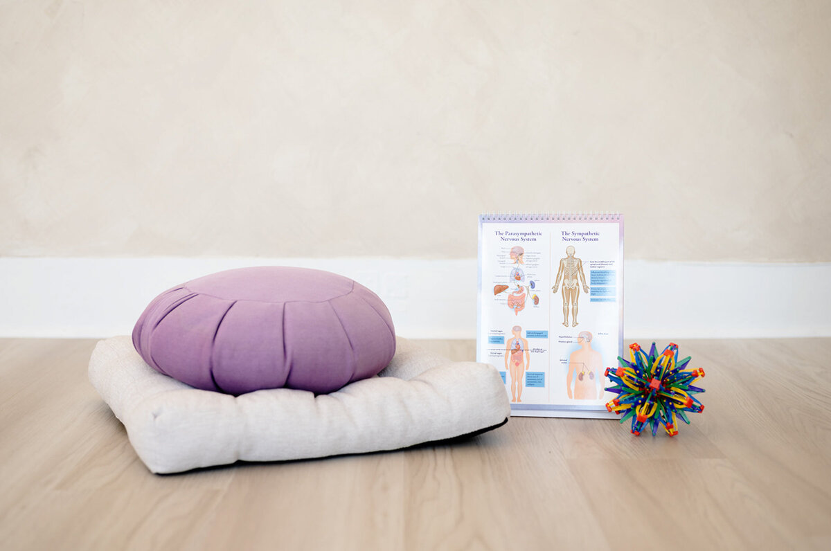 A purple meditation cushion sits atop a beige mat on a wooden floor, accompanied by a colorful expandable ball and a diagram booklet, creating a calm ambiance.