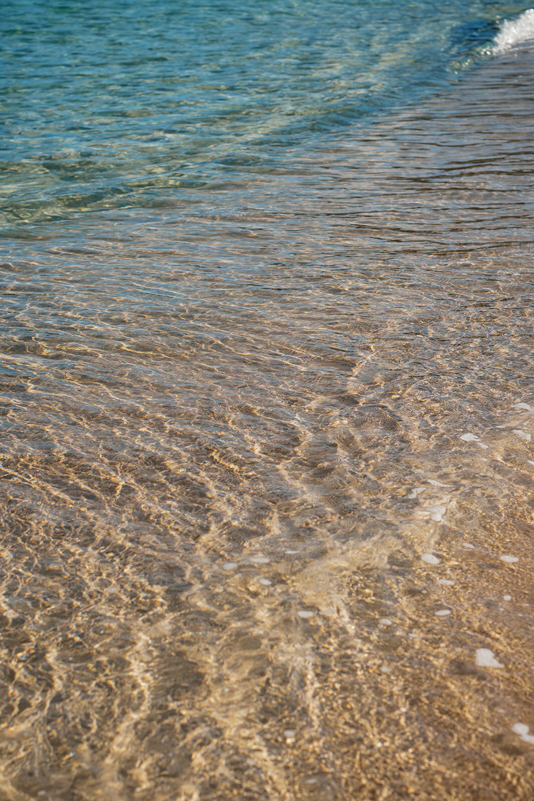 Peter Island-596