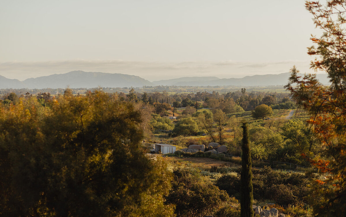 Aaren-Cadieux-Photo-TemeculaBackyardWedding-649