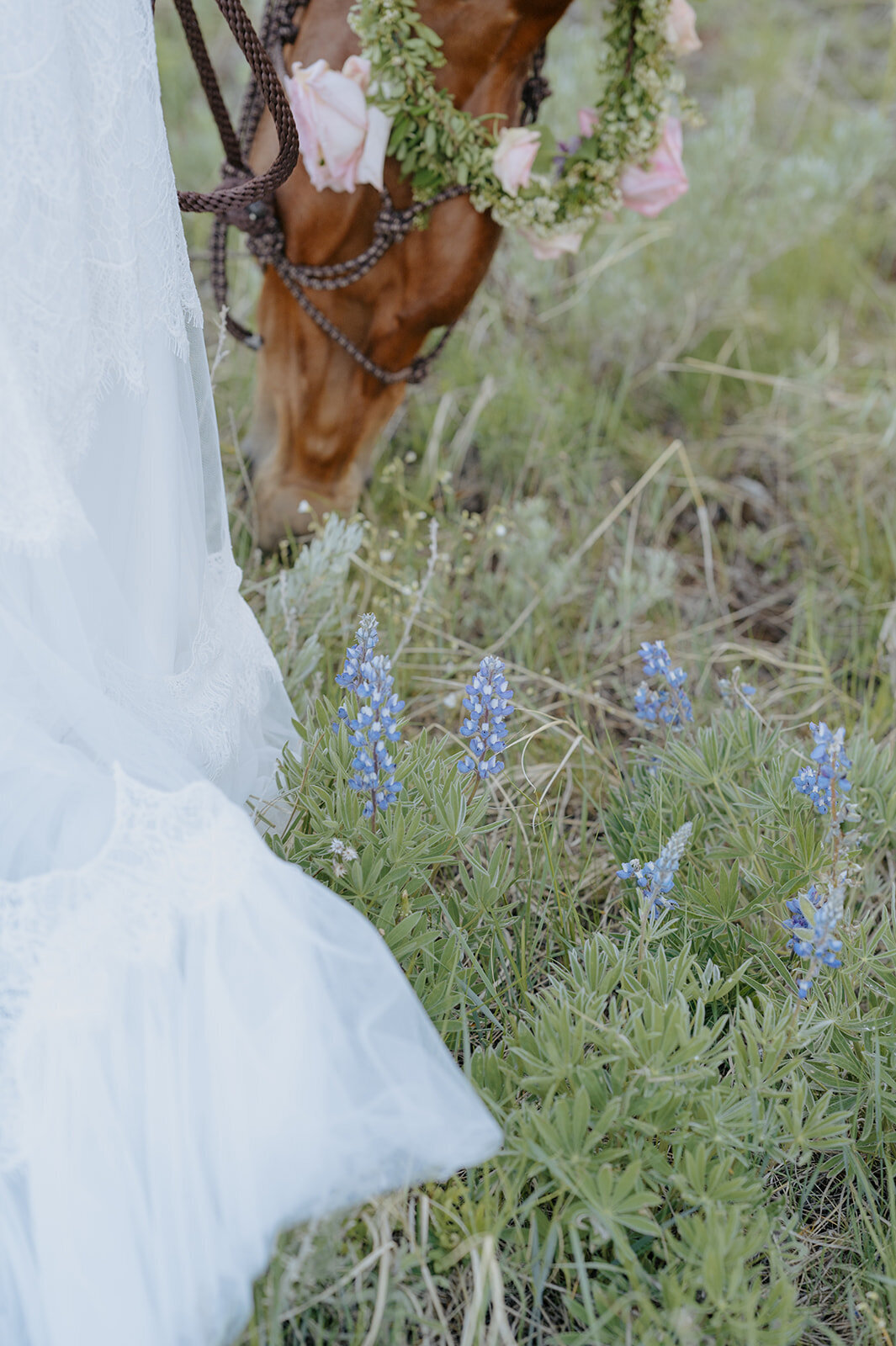 Carly-Patrick-Sheridan-Wyoming-Elopement-325