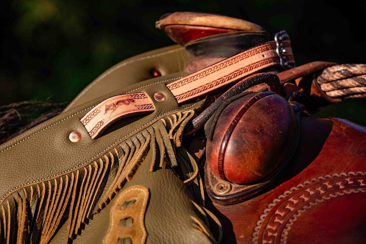seattle-equine-photogrpaher-5