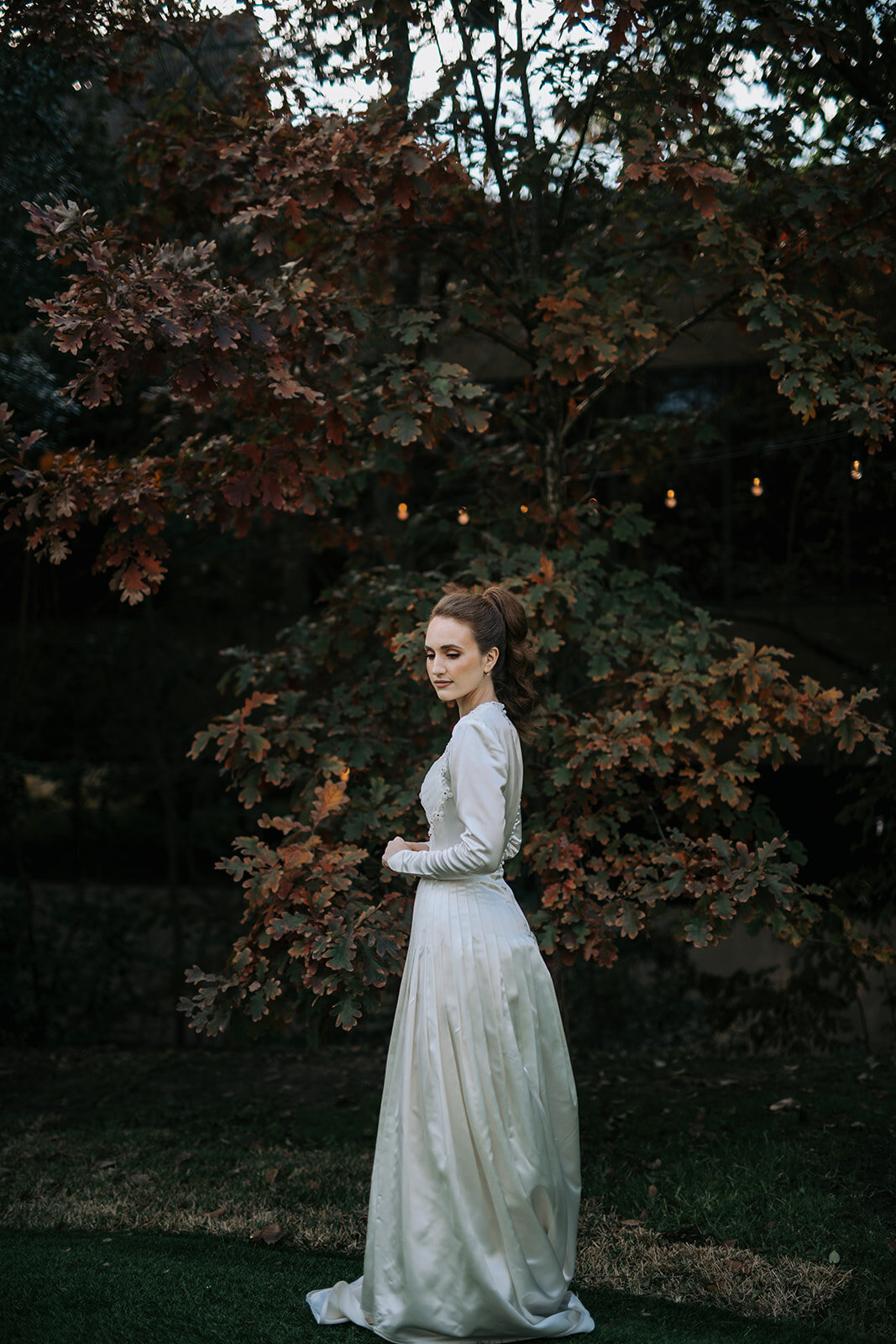_AMY0241