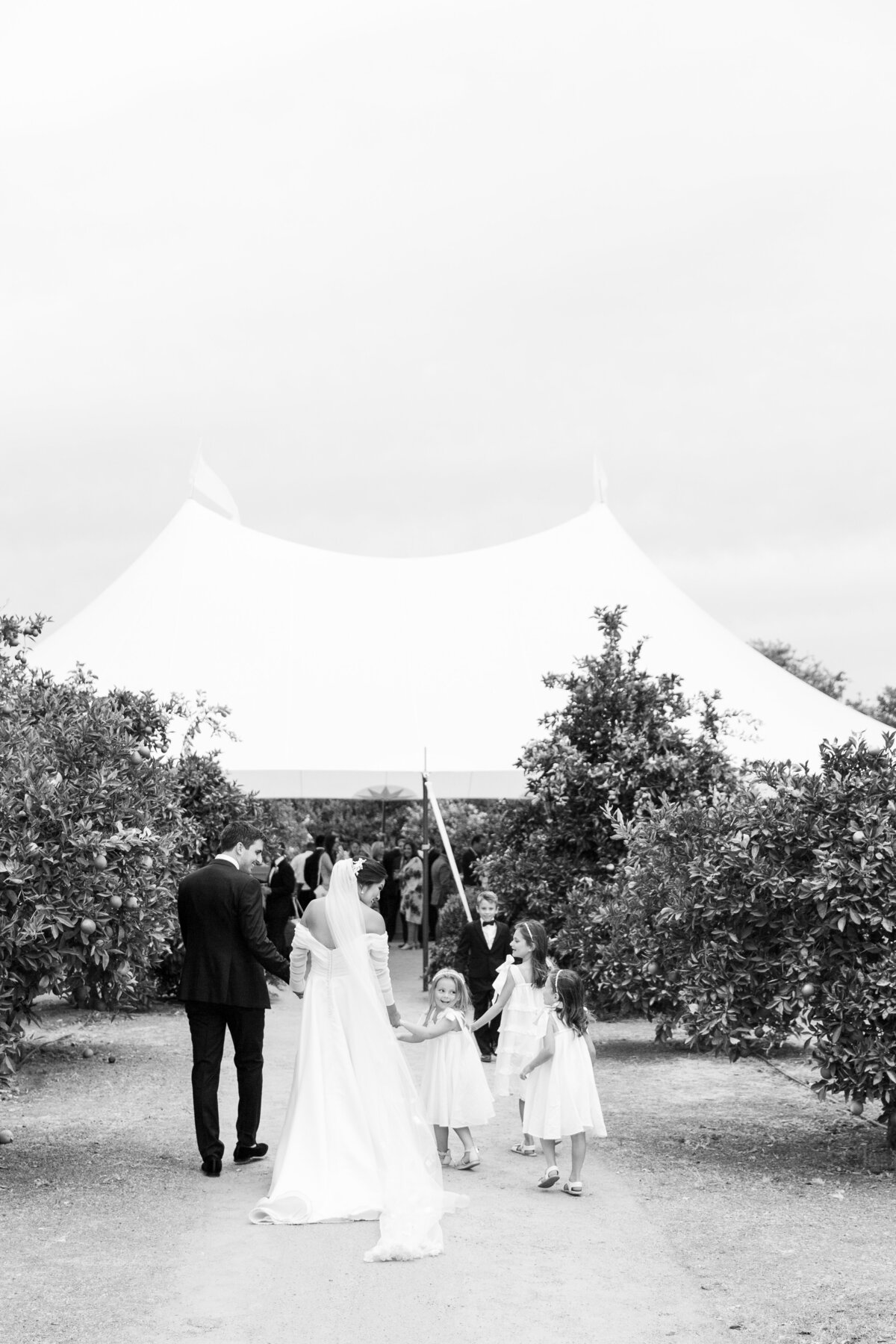 Bear Flag Farm Wedding-103