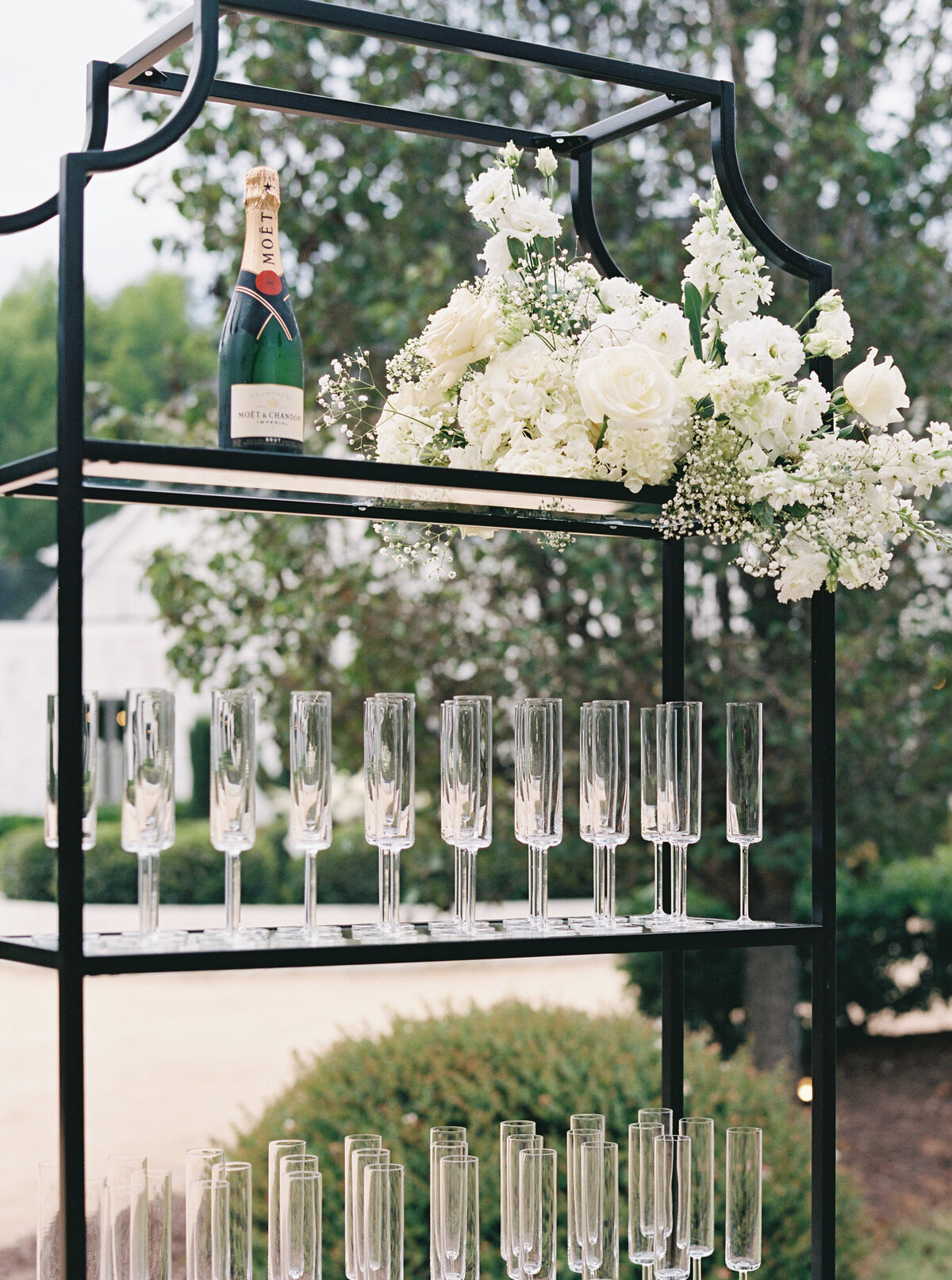 Dexter+Donna_Wedding_AmandaCastlePhotography-460