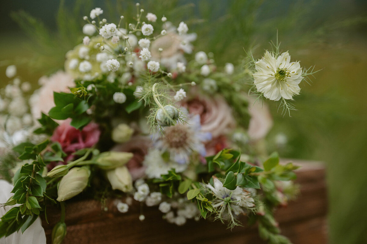 07-21-25_Daisy & Walker_Ekutna Lake_PRPLLC-123