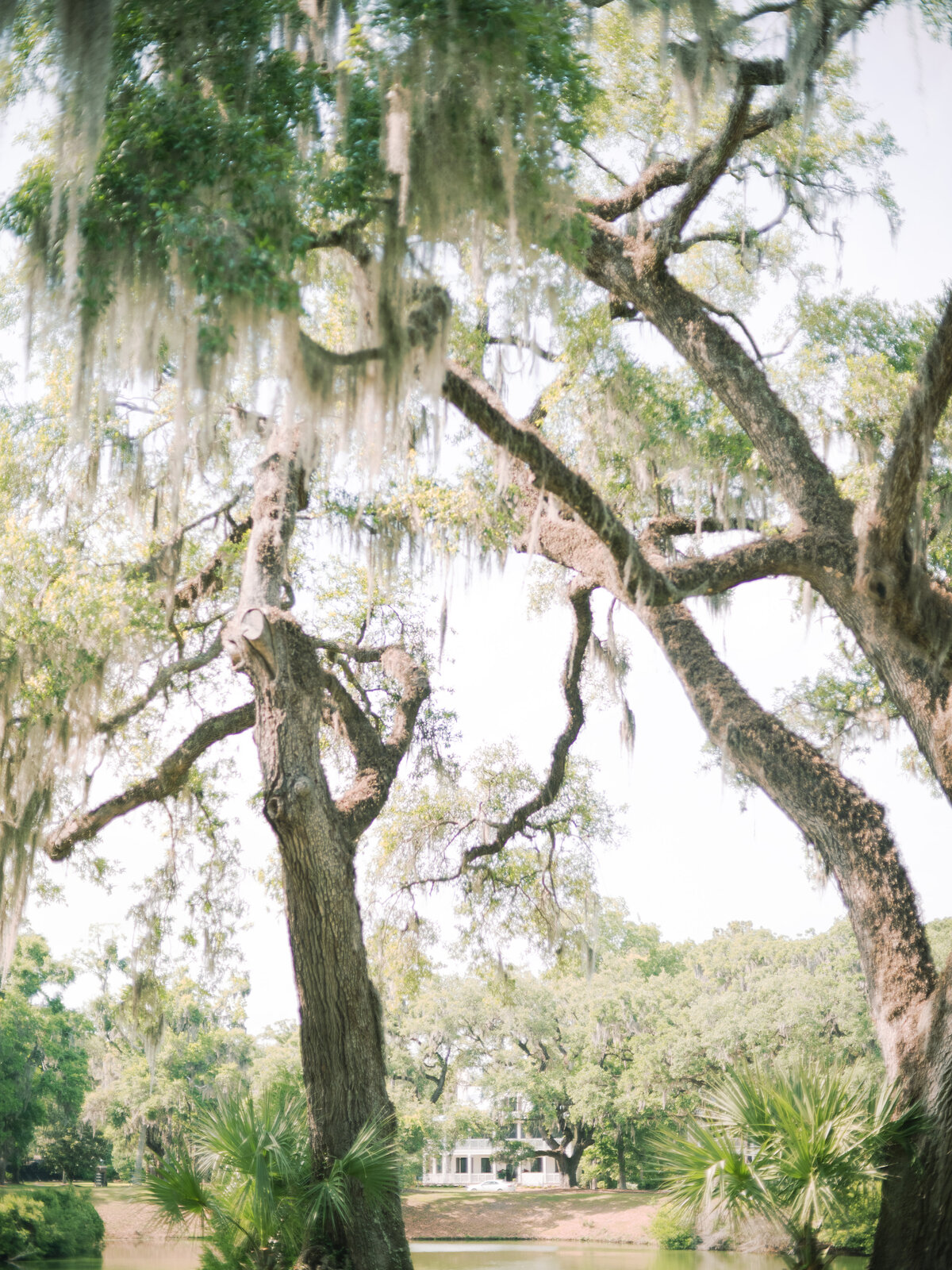 Palmetto-Bluff-Wedding-Planner-For-Love-Of-Love-63