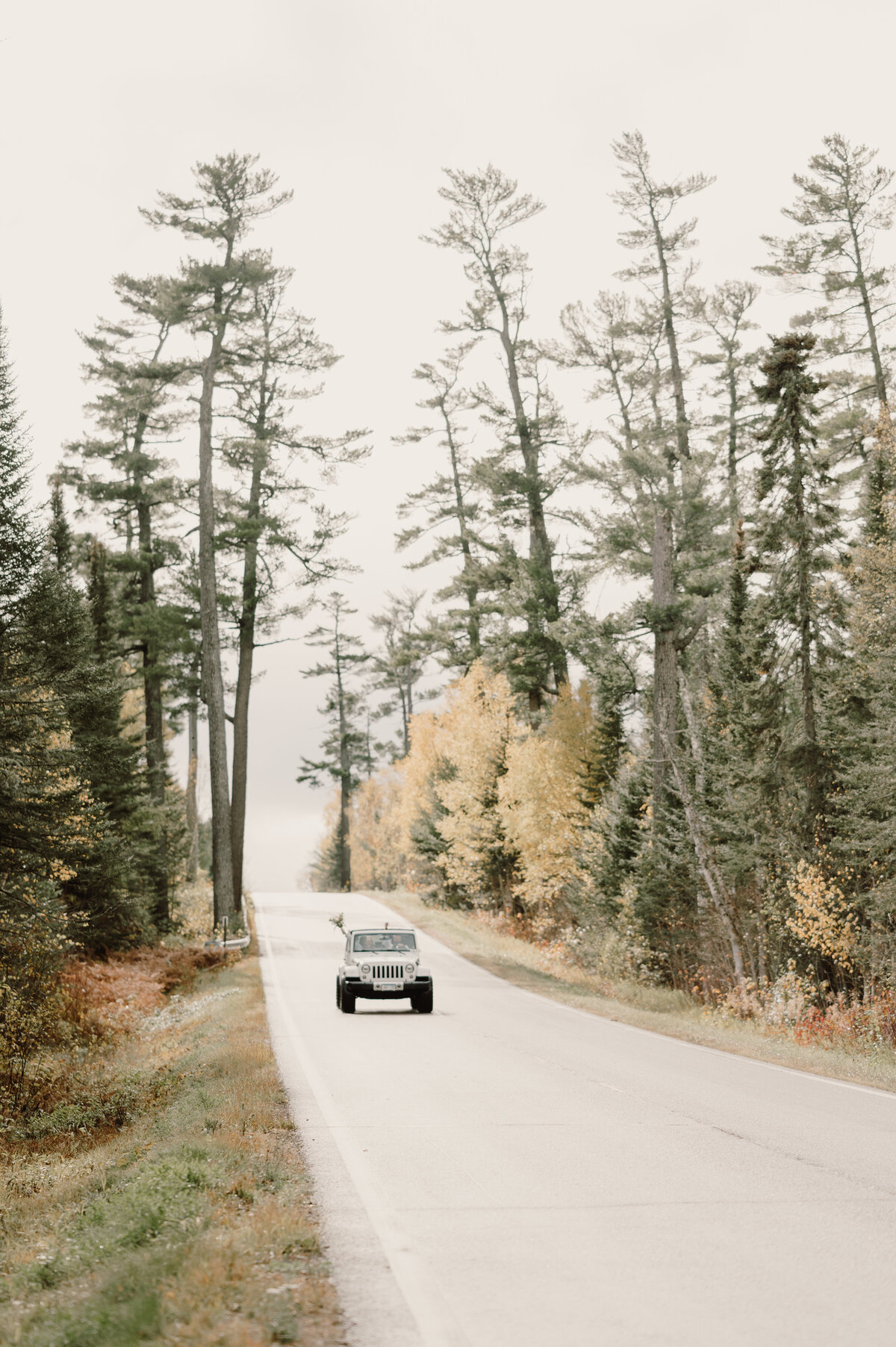 jeep on the road