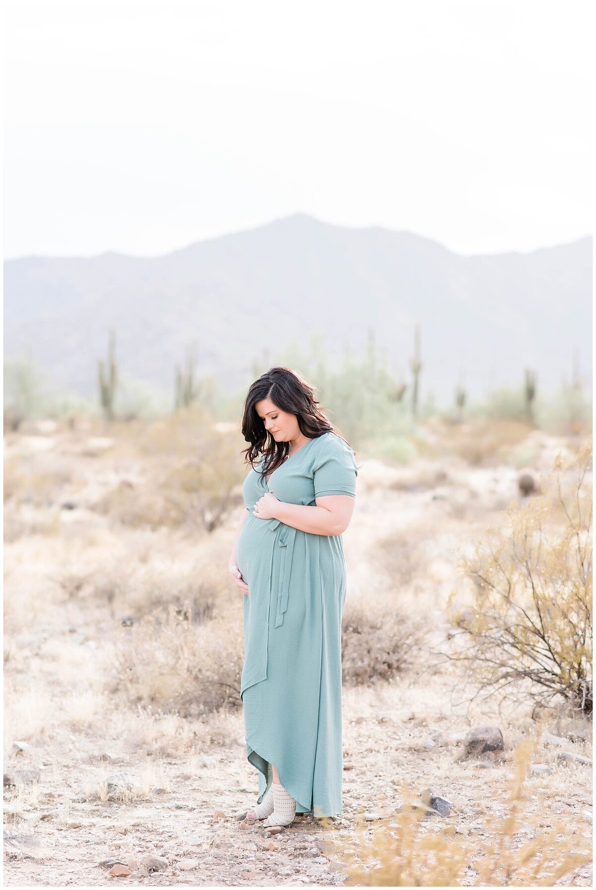 Skegg's-Family-Maternity-Session-Waddell-Arizona-Ashley-Flug-Photography-41