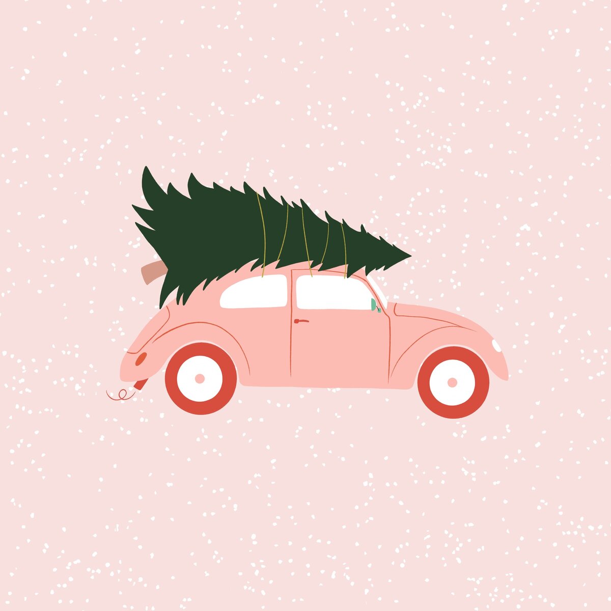 Christmas-Beetle