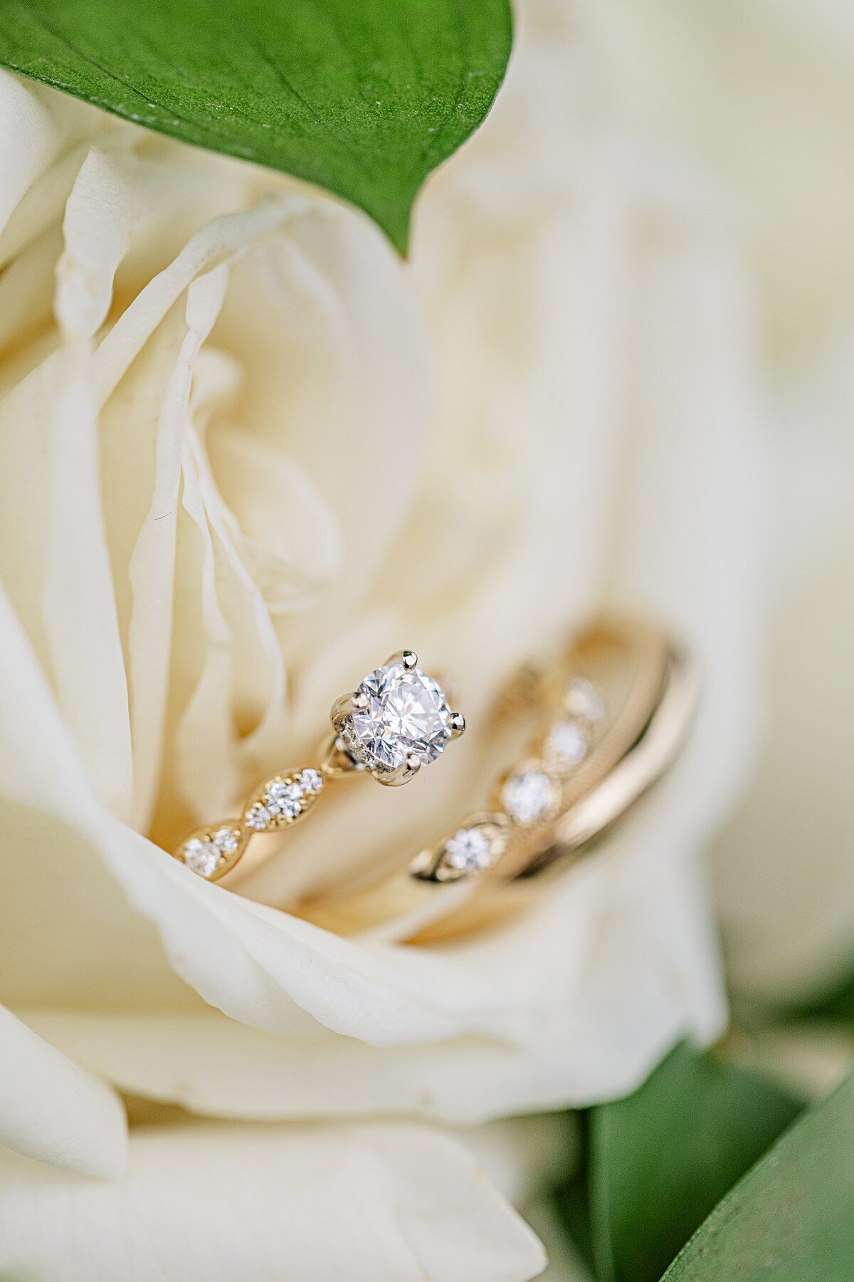 wedding-rings-on-white-flower
