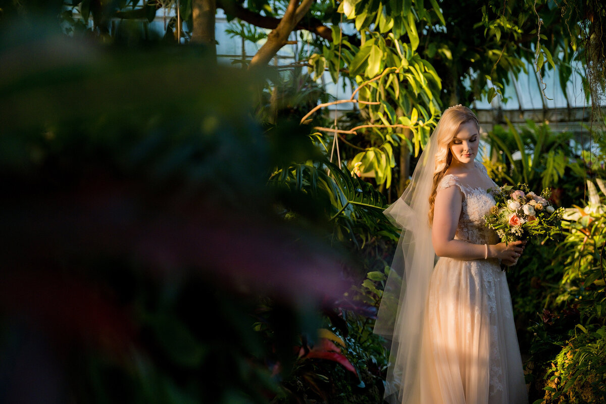 phipps conservatory bride