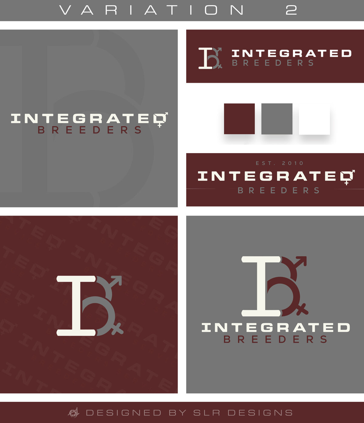 Logo_V1IBS(F9)