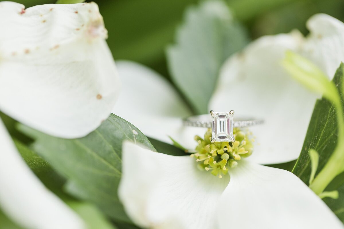 Longwood Gardens Engagement-90