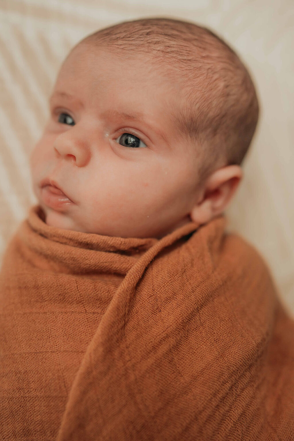 michigan newborn photography6