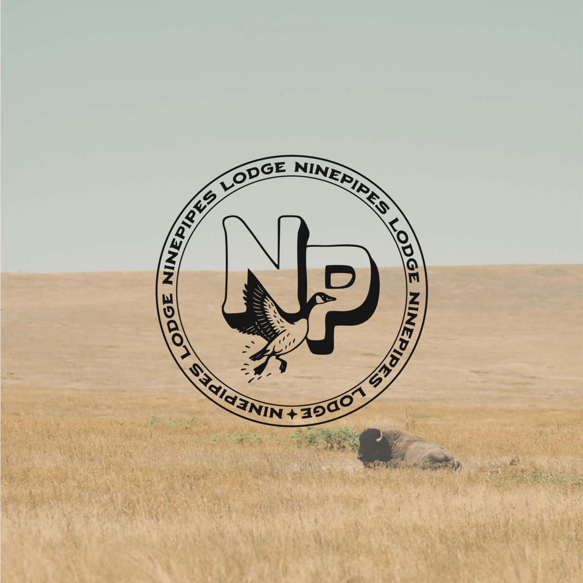 Ninepipes Feed2 