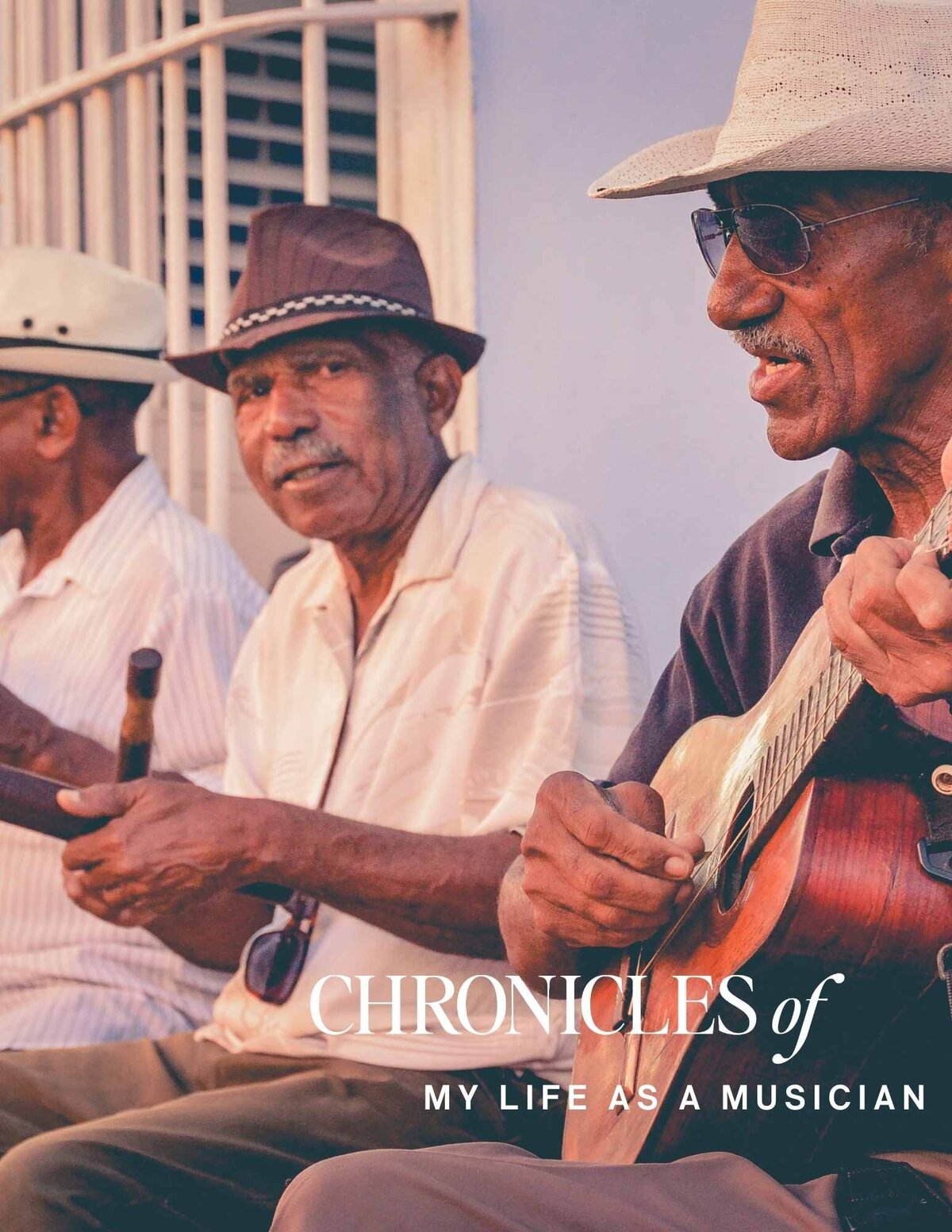 chronicles of my life as a musician