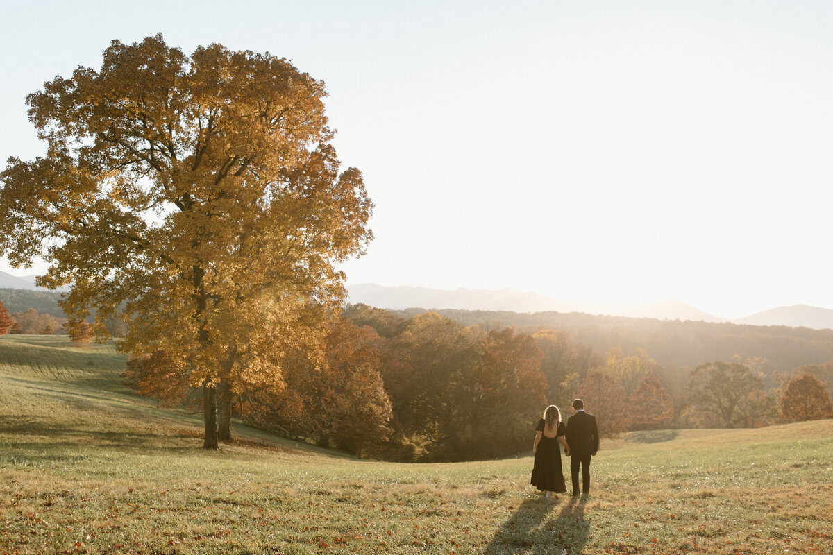 aubreyferklerphoto_biltmore-4