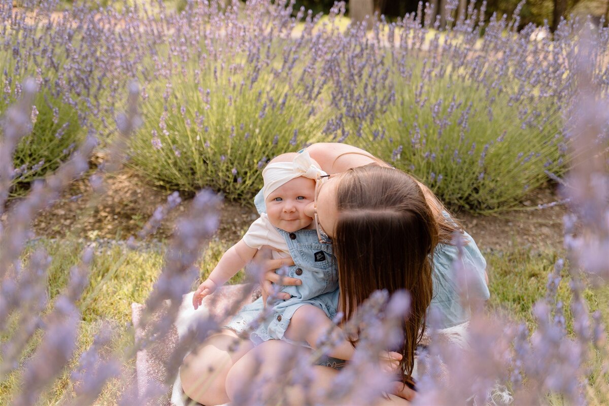 Isabel-Lavender-78