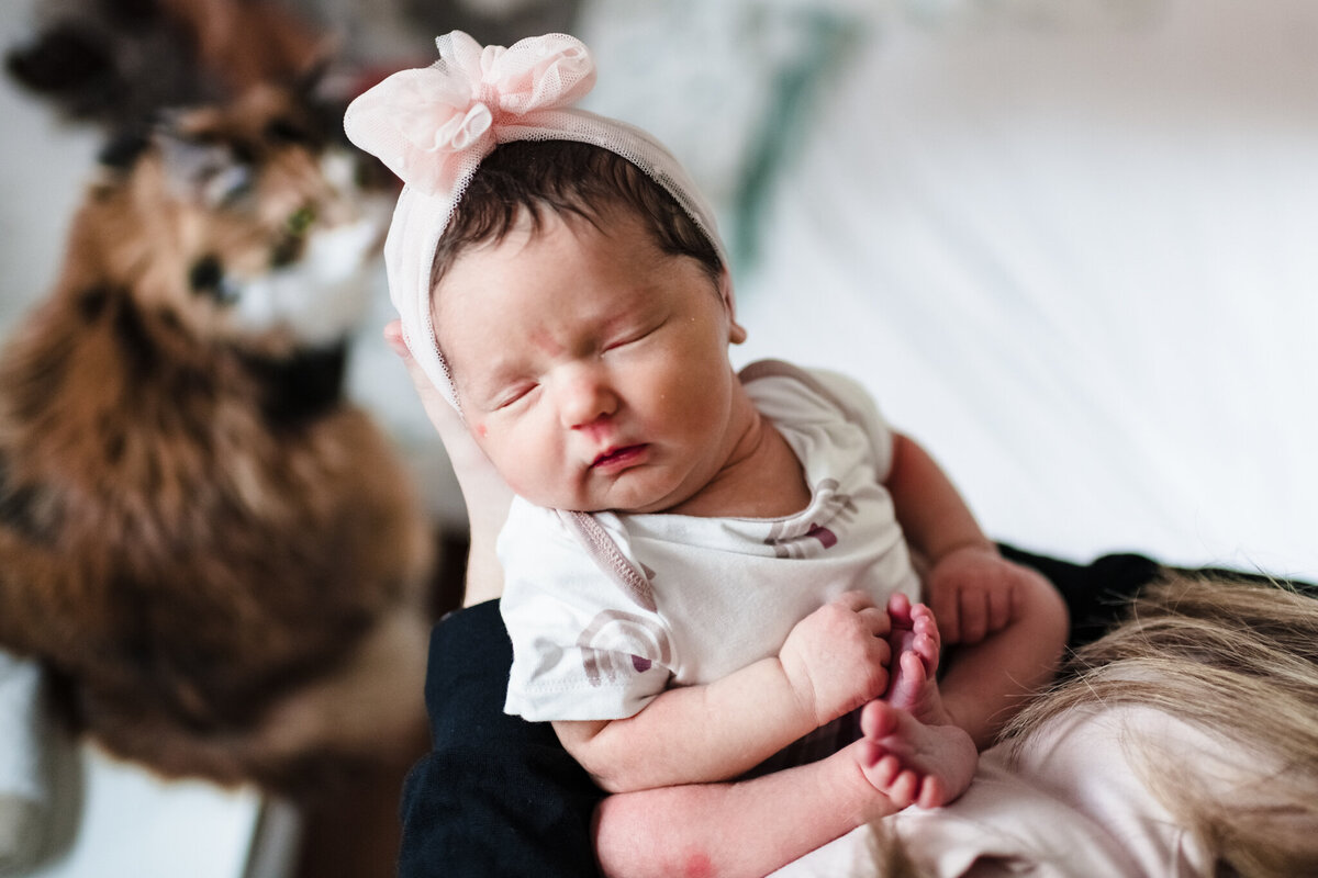 Newborn baby girl with bow infant portrait