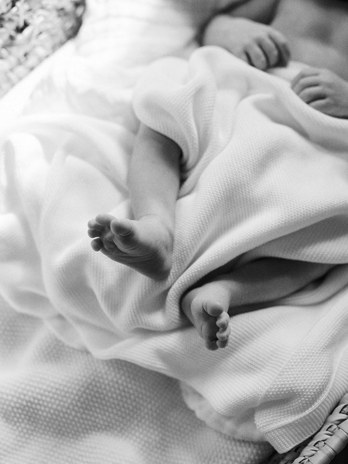 A close-up of a baby's feet while the baby is wrapped in a blanket during a newborn photography session in Richmond by Katie Stansfield Photography.