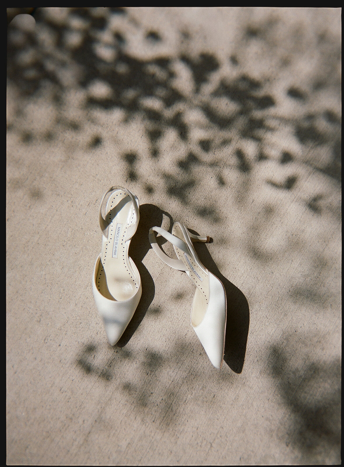 Jackson Hole Film Scans-Mariah-Jones-Photography-8 copy