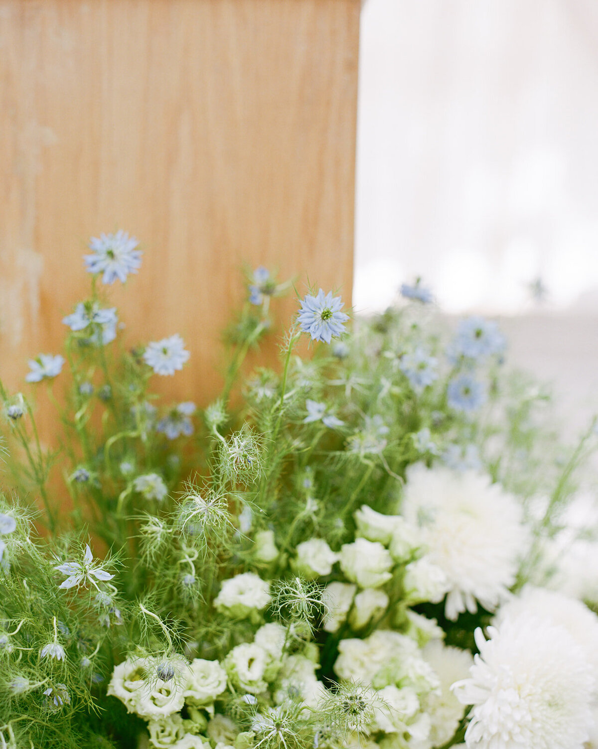 Rebecca + Jarod-49