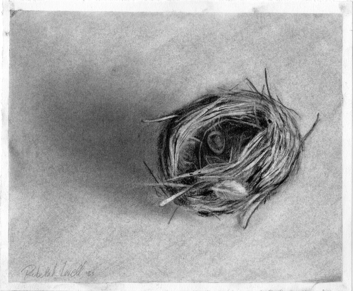 RLowell_revised nest