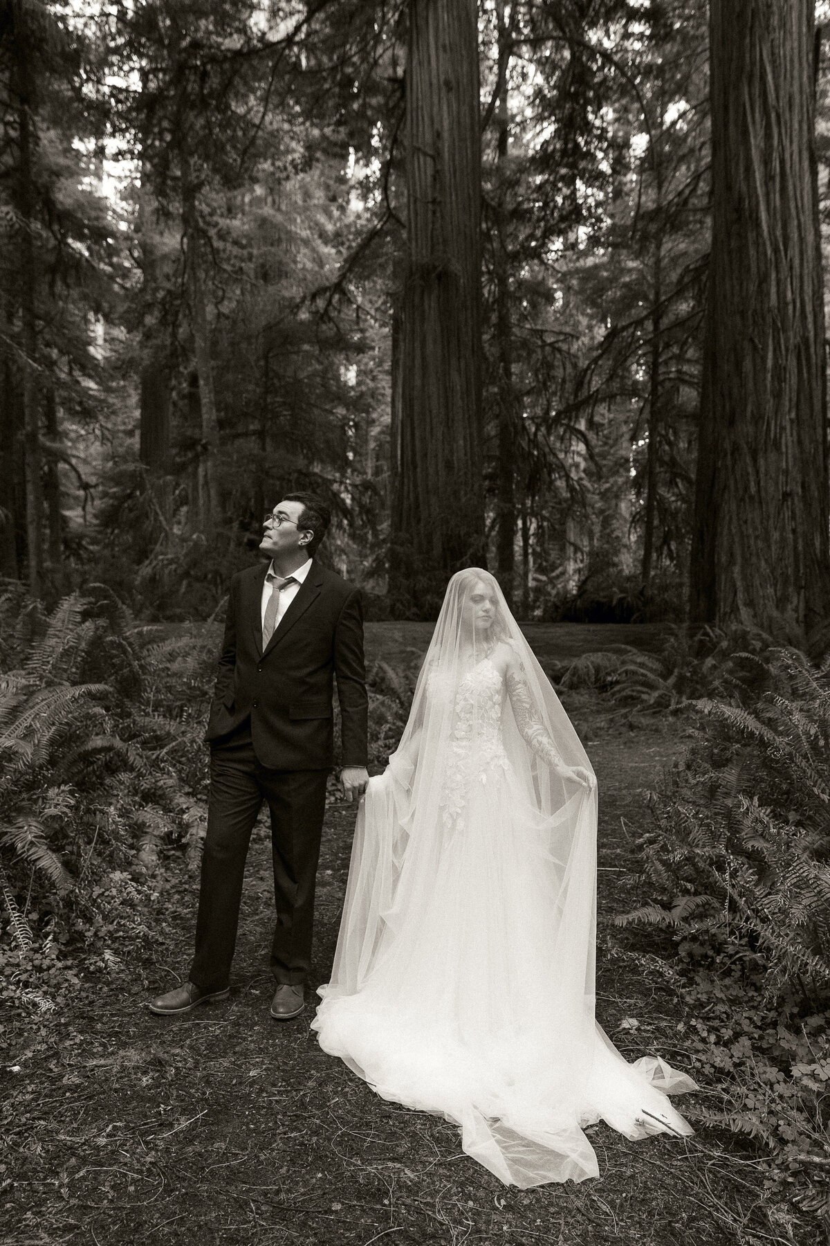 AbbyReePhotography-RedwoodsElopement-34