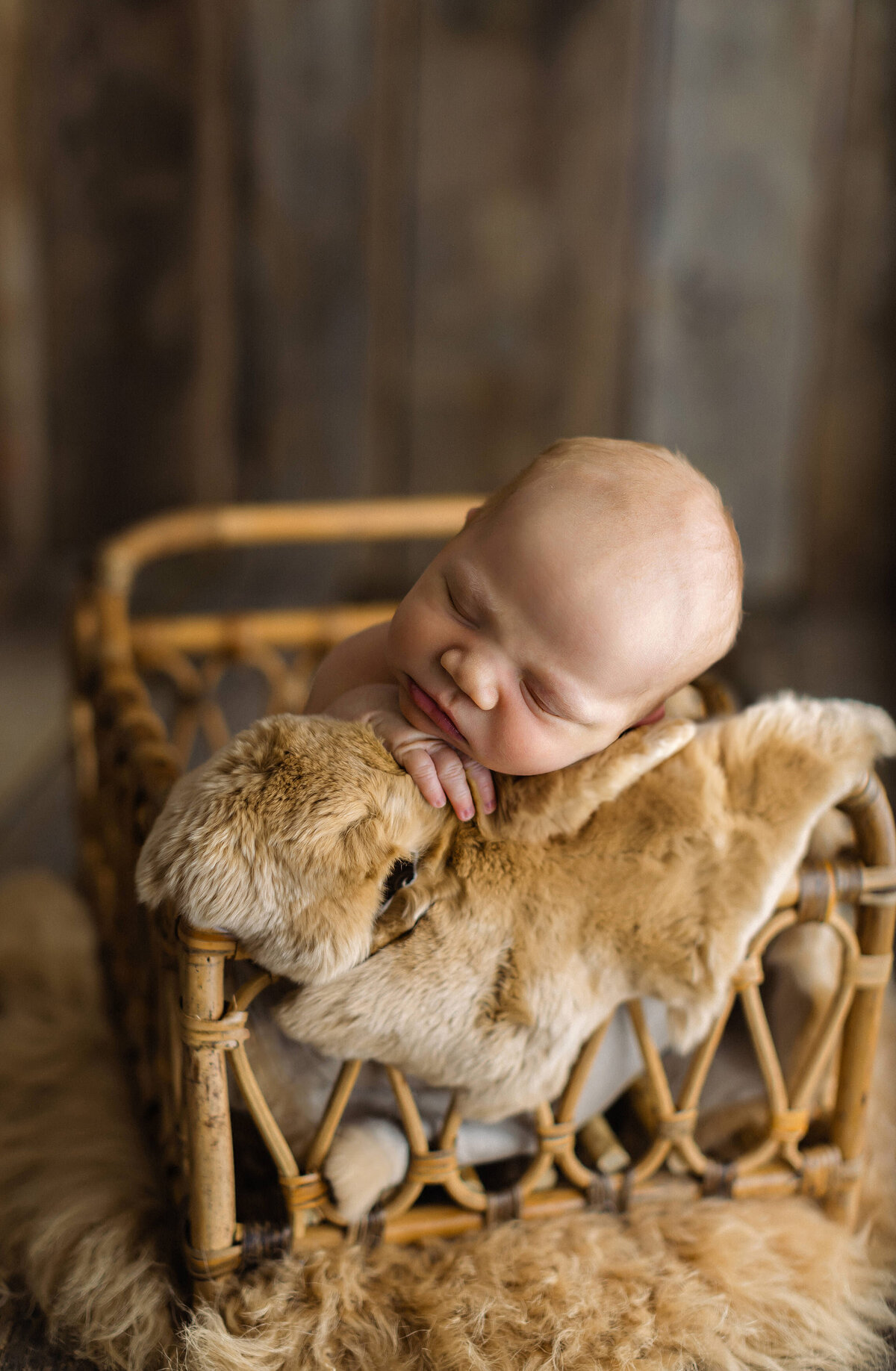 2024_03_27 Obadiah_Newborn - Brandi Watford Photography 004