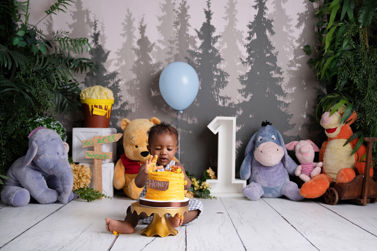 pretoria-cake-smash-photographer-213