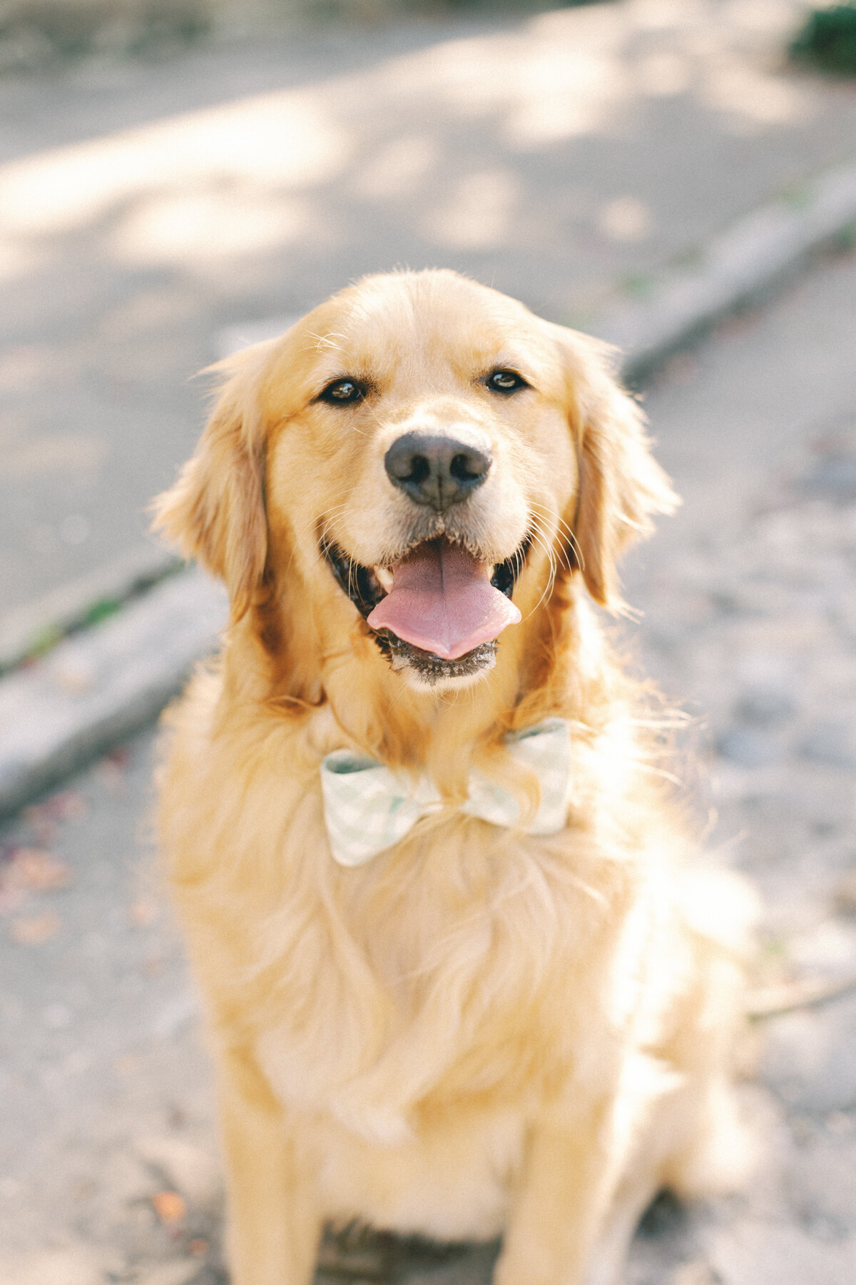 charleston-engagement-photos-59