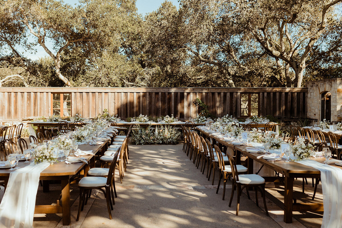 reception(7)