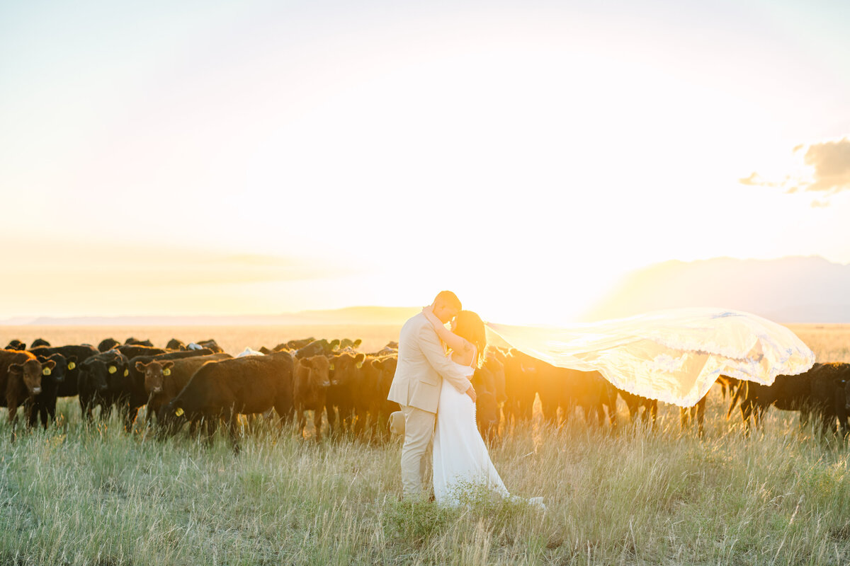 Montana Wedding Photographer - Ashley Dye- CassLee-9766