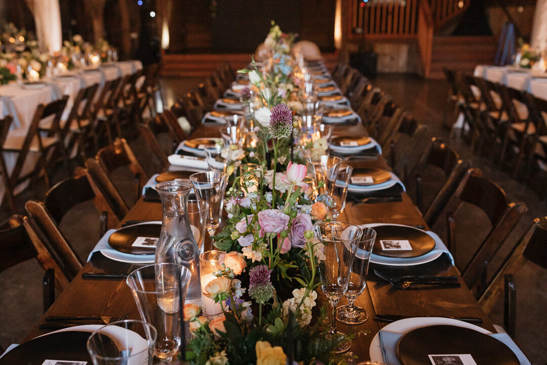 Mary-Lewis-Photography-Petaluma-California-Wedding-2022-26132