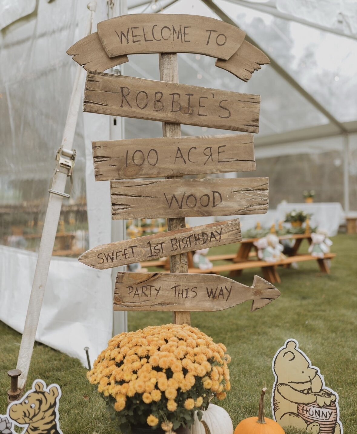 winnie-the-pooh-baby-shower-in-connecticut-7
