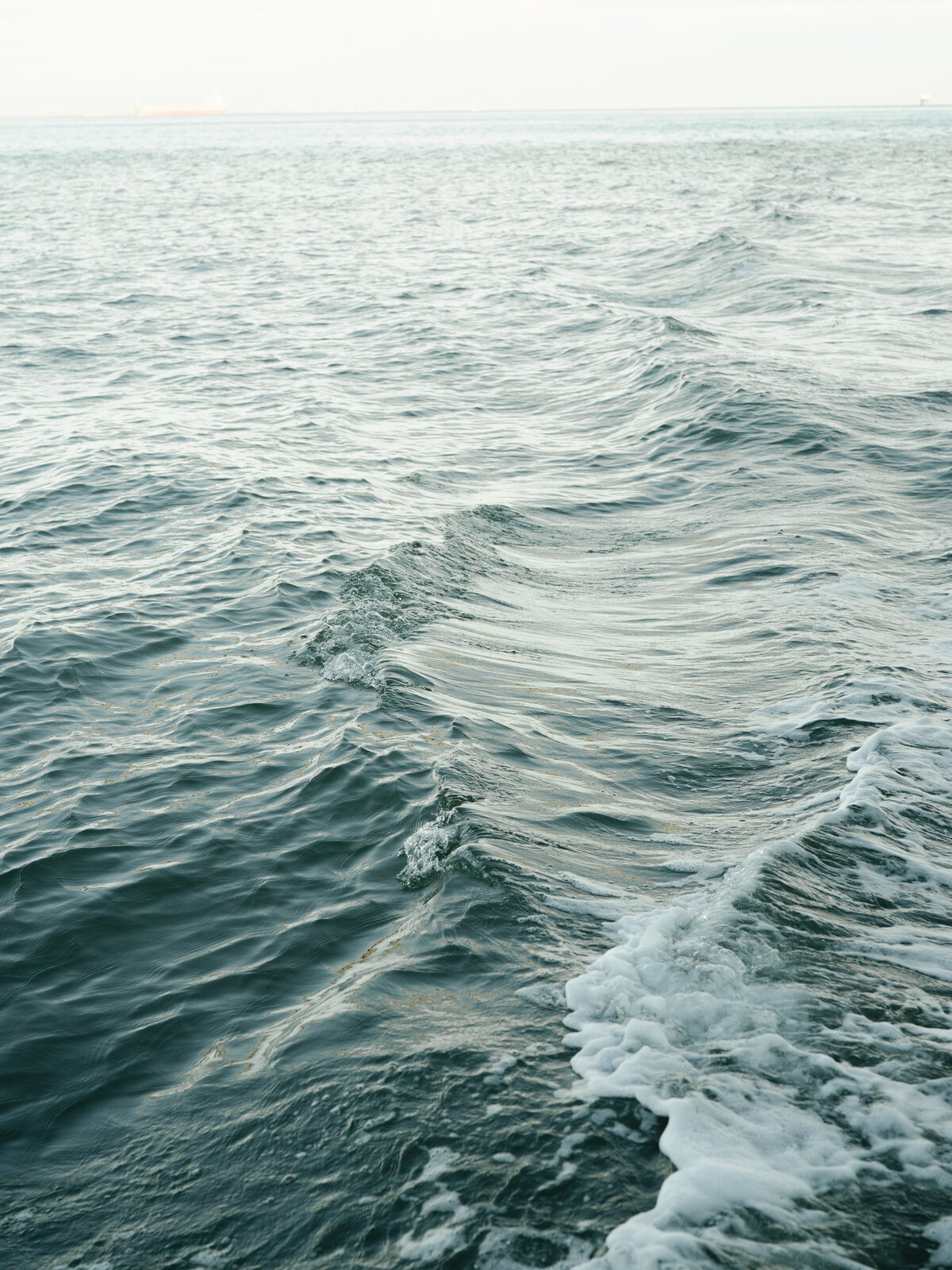 SAN-FRANCISCO-CITY-HALL-WEDDING-CHRISTINE-RYAN-06-155