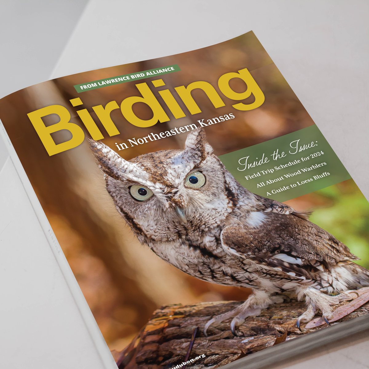 Birding-Mag-sq