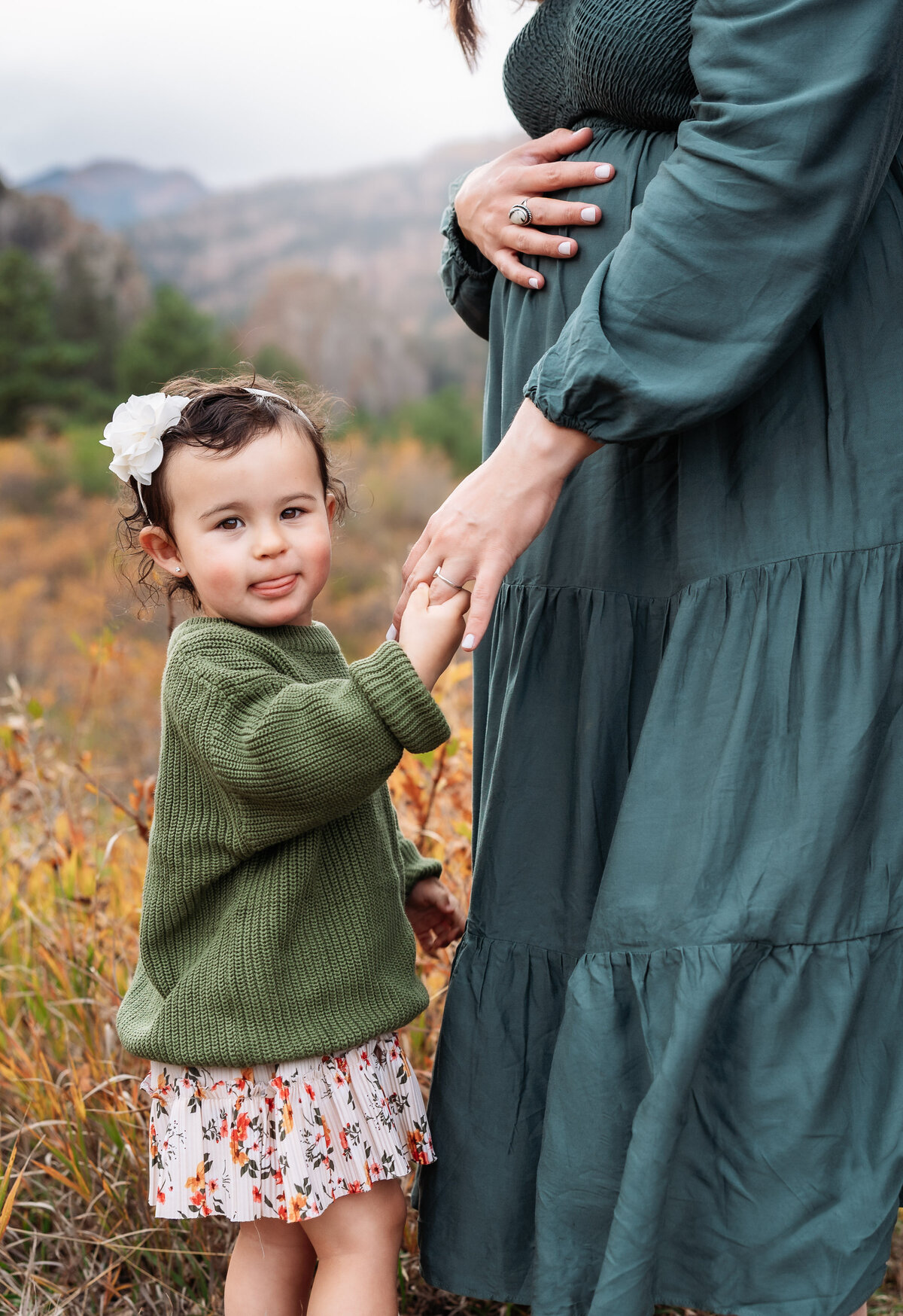 Maternity Photographer Colorado Springs-1-3