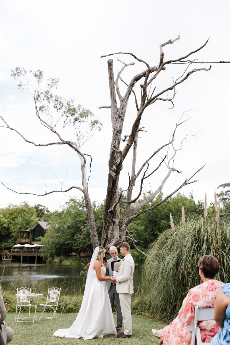 Adelaide Wedding Photographer -1352