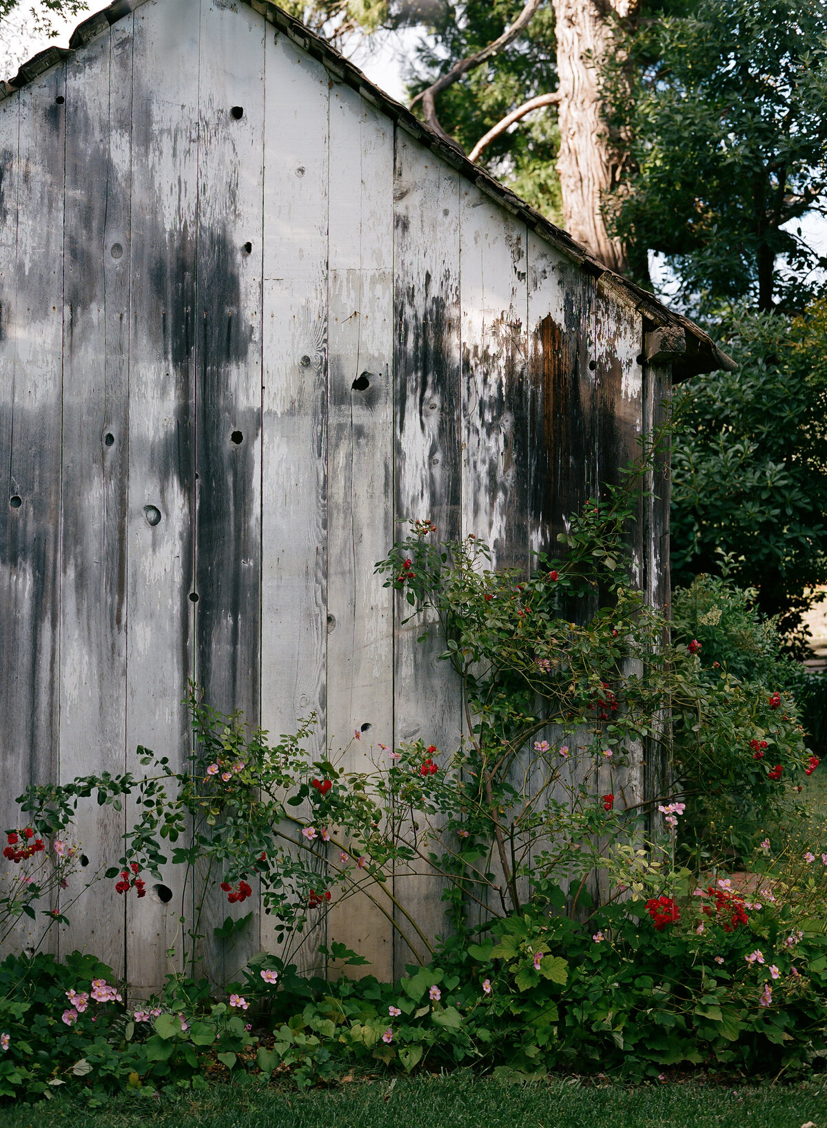 DT-2025-Celine & Gabe Highlights-254