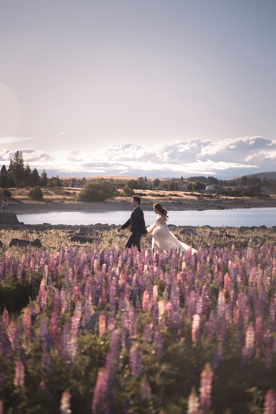 Pre-wedding photoshoot, the lupins, Lake Tekapo. Galia Lahav Haute Couture gown.