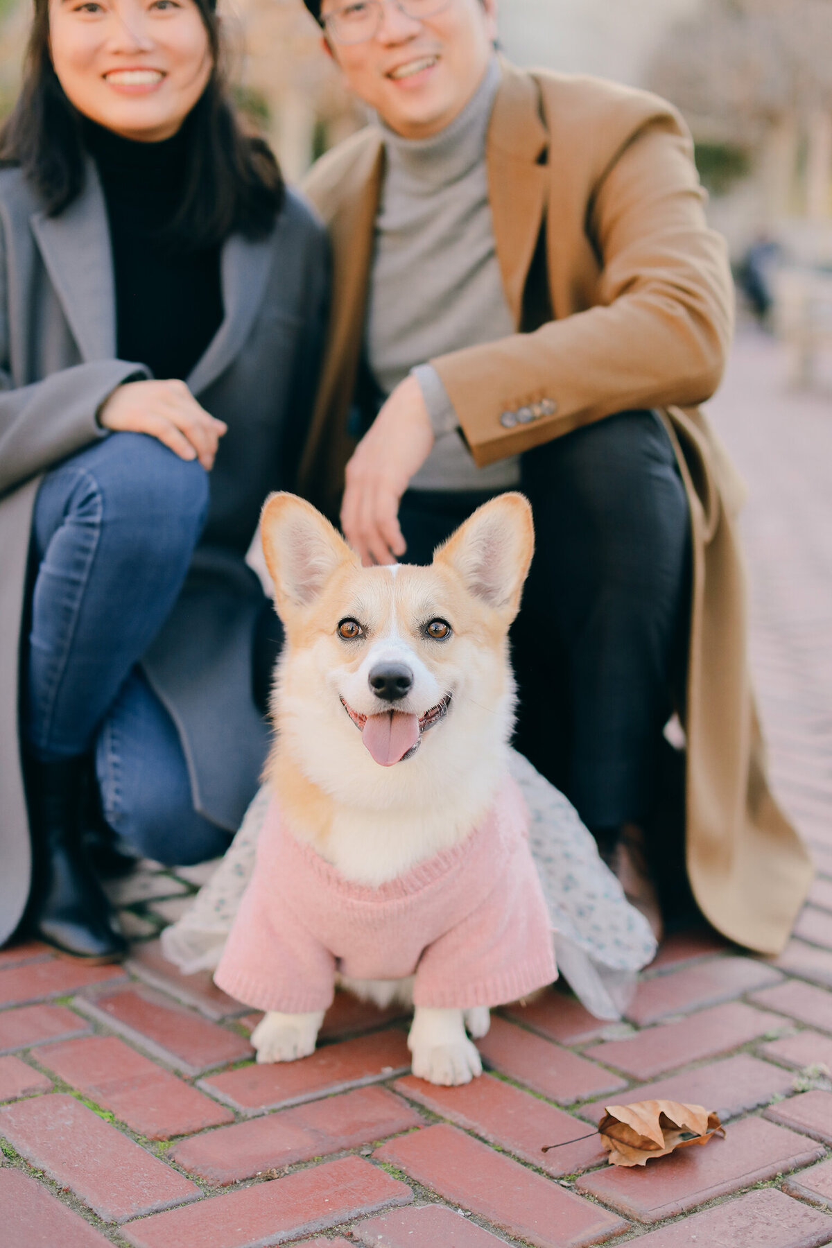 UCBerkeley-Family-Photographer-LykaMakPhotography-IsabelleVance-183