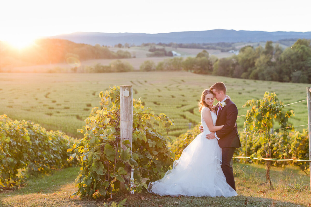 Rulewedding1131