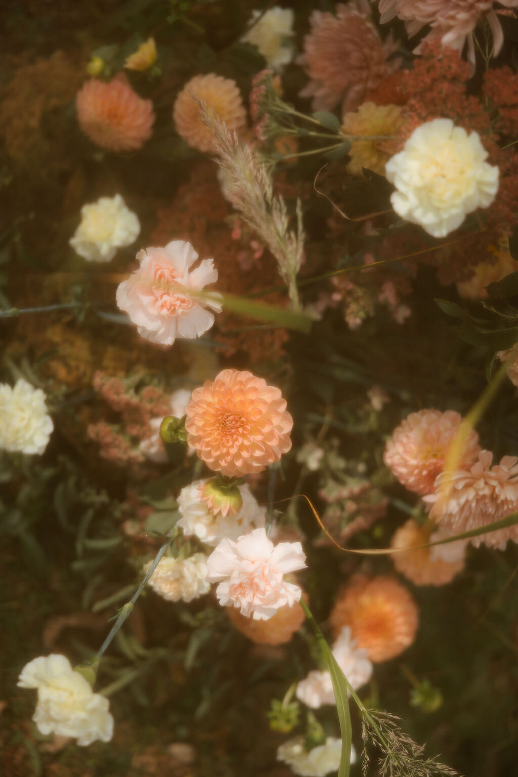 Sarah-Kevin-Gold-Wing-Photography-Vermont-Wedding-Grafton-Inn-Fall-Previews-44