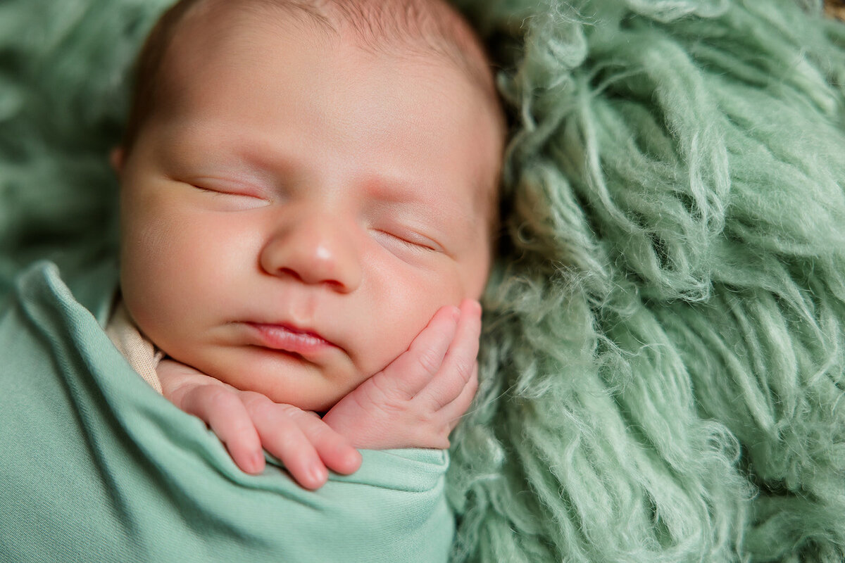 CloverNewborn-29