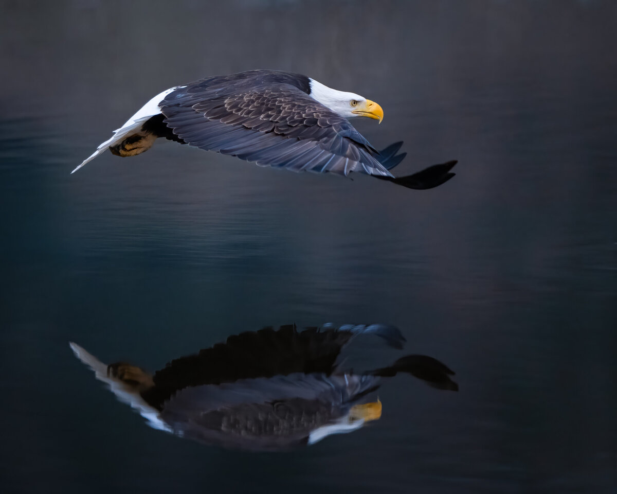Reflectionv2