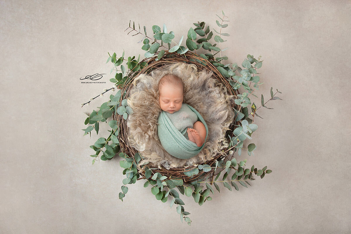 Edmonton Newborn Photography nature plant green backdrop