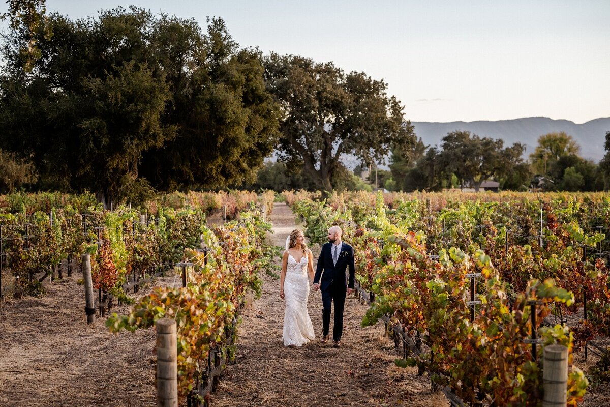 Roblar Winery Wedding
