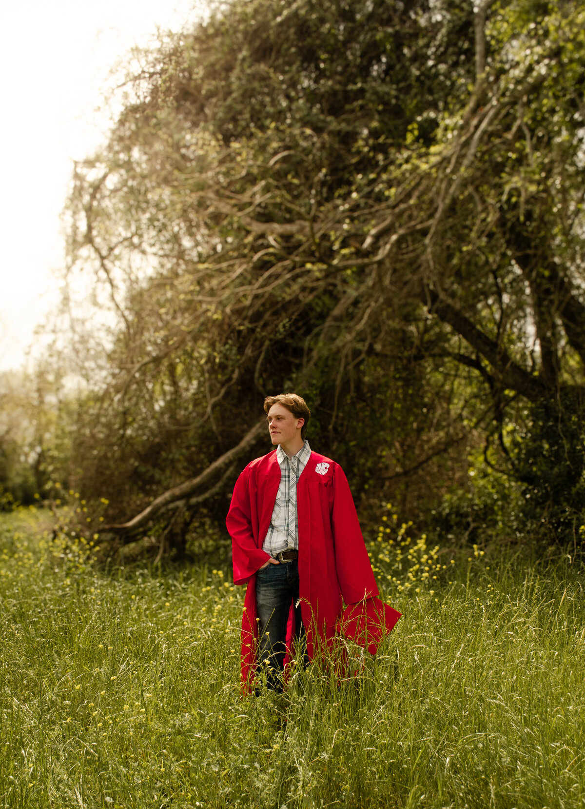 Senior boy poses cap and gown